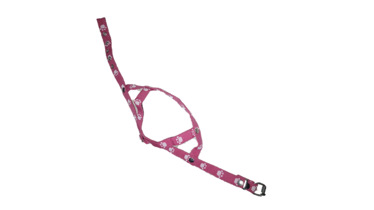 PRETAL NYLON CHICO N 5